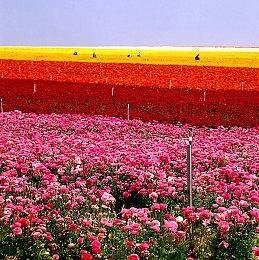 3D动作冒险《法术与秘密》11月9日发售 登陆主机和PC