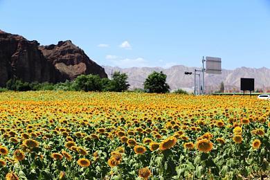 《堡垒之夜》联动《合金装备》 固蛇和雷电登场